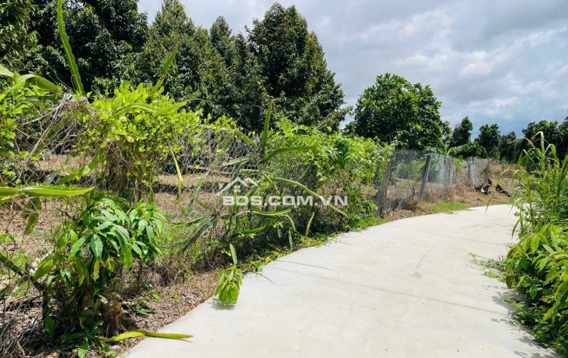 Bán đất giá 850 triệu/sào sở hữu có ngay một vườn trái cây lâu năm